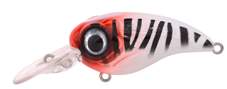 0001_Spro_Fat_Iris_50_CR_[Redhead_Tiger].jpg